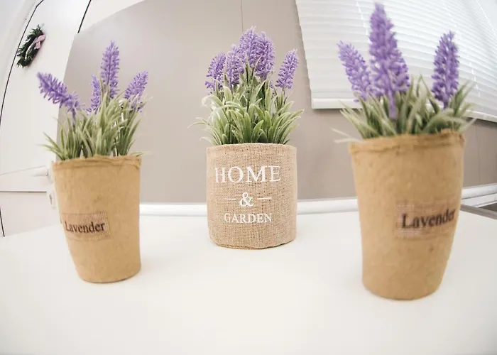 아파트 La Casa De Tsampika