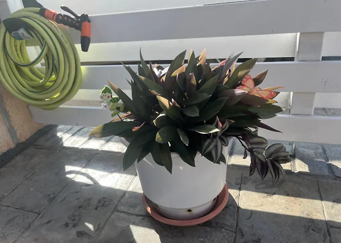 La Casa De Tsampika Apartamento *