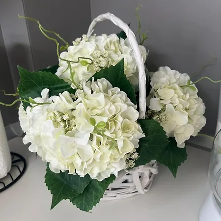 La Casa De Tsampika 公寓