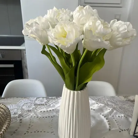 La Casa De Tsampika 公寓