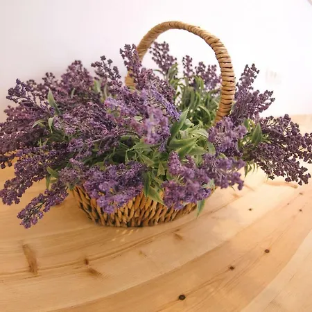 La Casa De Tsampika 公寓