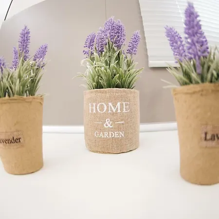 公寓 La Casa De Tsampika