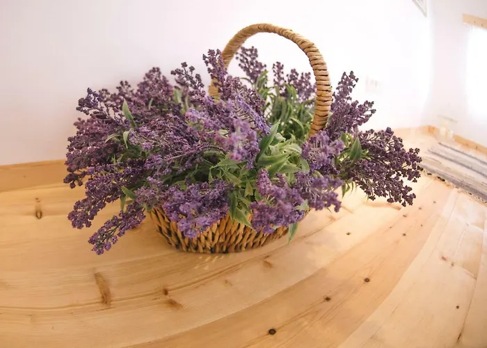 La Casa De Tsampika Apartament