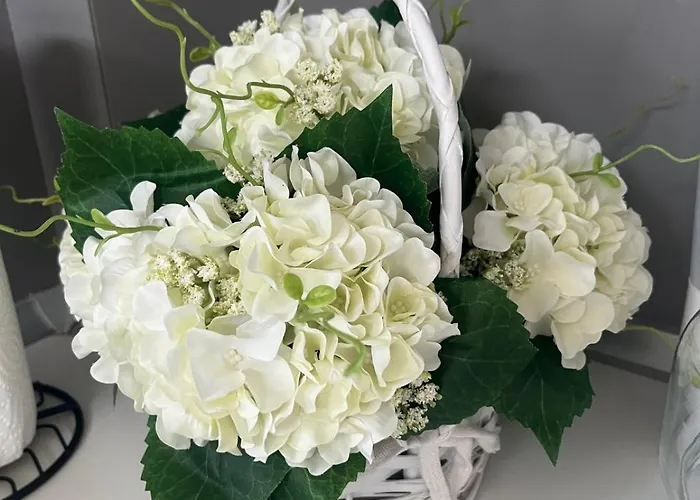 La Casa De Tsampika Apartment