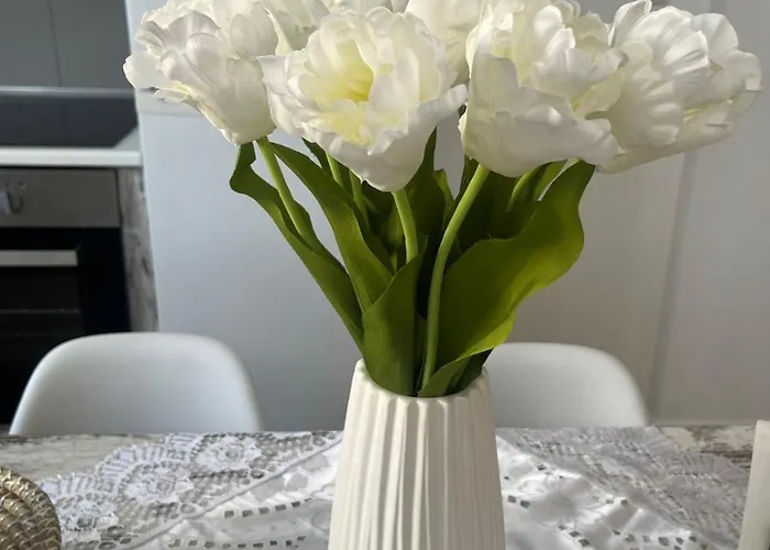 La Casa De Tsampika Apartment